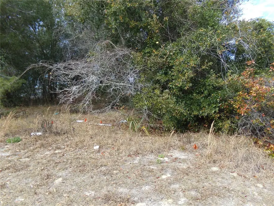 1680 Catalina Blvd, Deltona, FL 32738 - #3