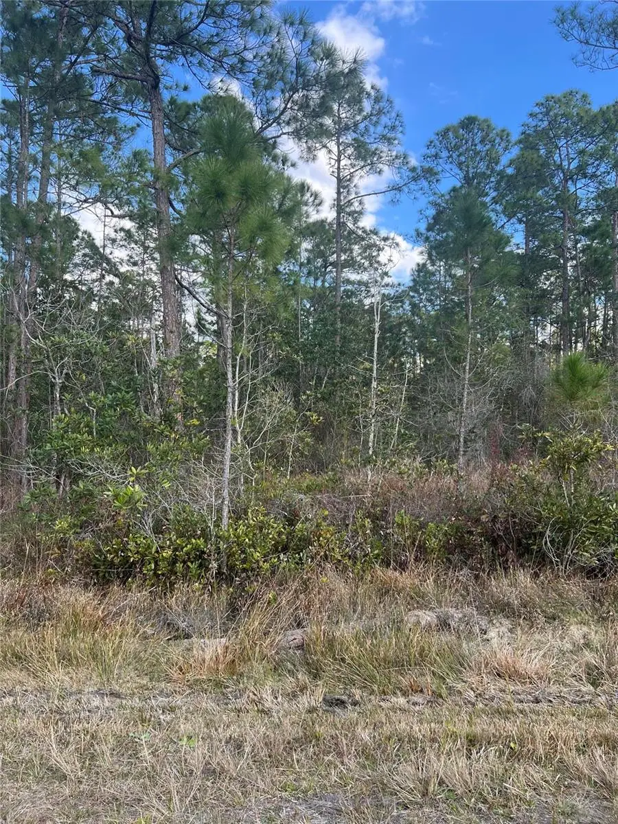 6727 Balboa Boulevard, Sebring, FL 33872 - Image #2