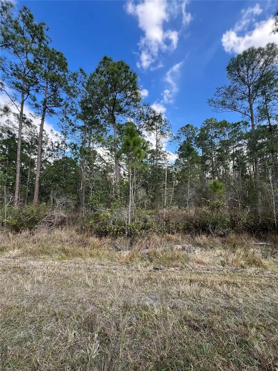 6727 Balboa Boulevard, Sebring, FL 33872 - Image #3