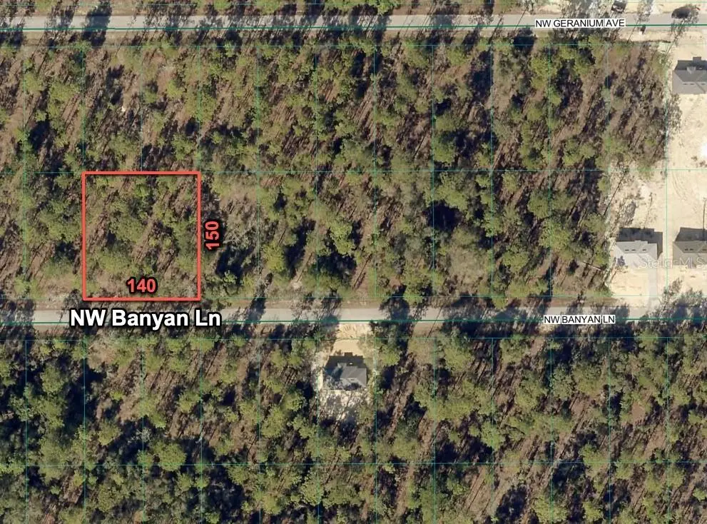 24309 NW Banyan Lane, Dunnellon, FL 34431 - #1