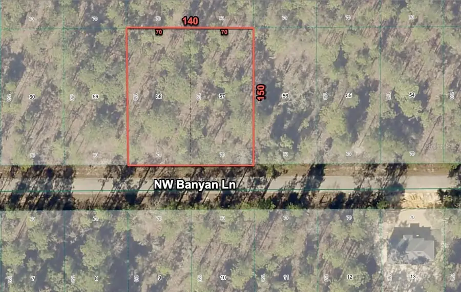 24309 NW Banyan Lane, Dunnellon, FL 34431 - #3