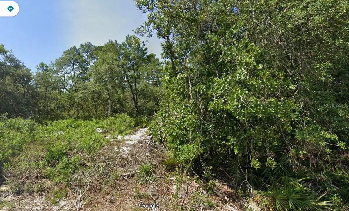 Fisher Pass, Ocklawaha, FL 32179 - #1
