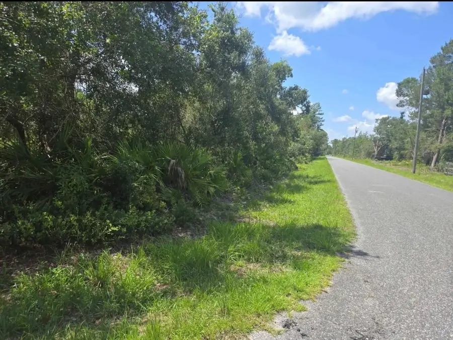 45560 Georgia Street, Paisley, FL 32767 - #3