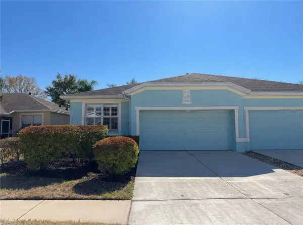 11520 Captiva Kay Drive, RIVERVIEW, FL 33569