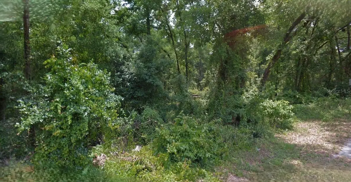 5986 E Waverly Street, Inverness, FL 34452 - #1