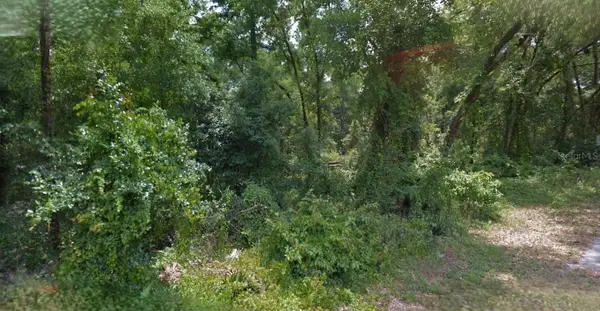 5986 E Waverly Street, INVERNESS, FL 34452