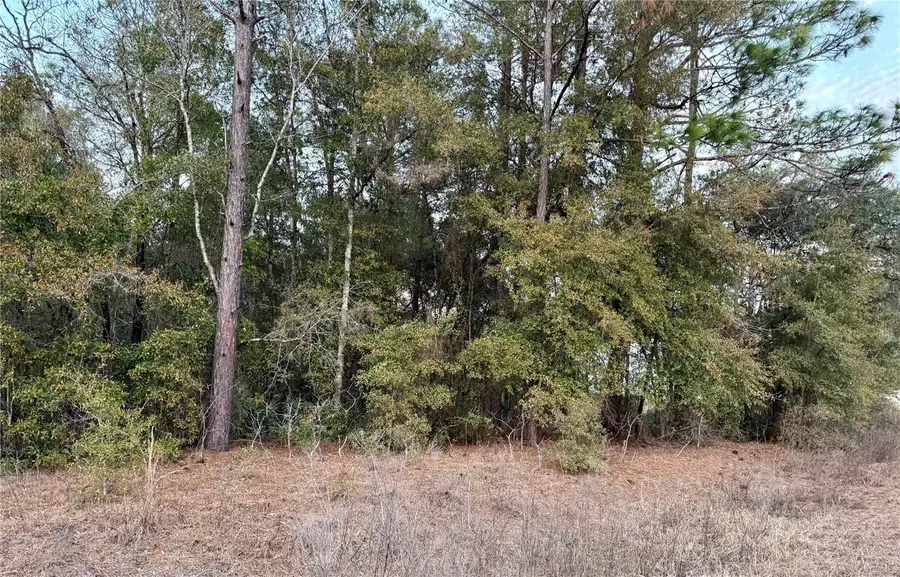 Sw 129th Terrace Road, Ocala, FL 34481 - #2