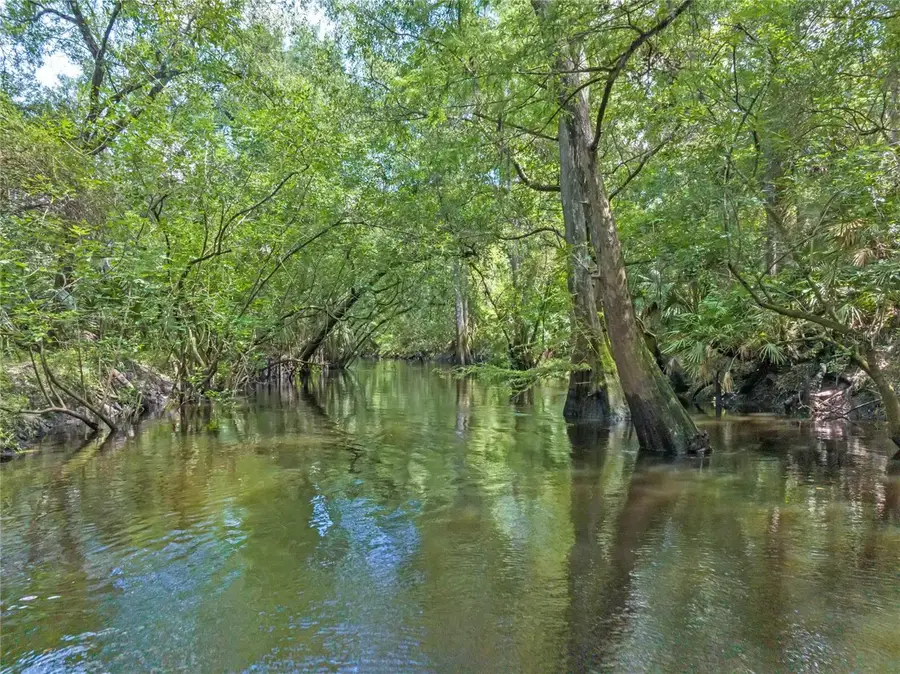 4000 Rouse Road, Orlando, FL 32817 - #2