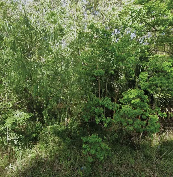 NE 132nd Avenue, SILVER SPRINGS, FL 34488