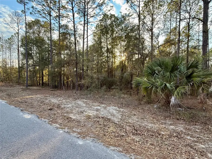 Sw 205th Circle, Dunnellon, FL 34431 - #2