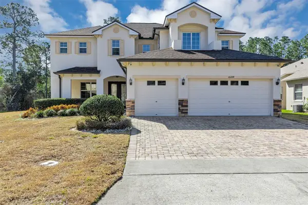 16228 Mead Street, CLERMONT, FL 34714