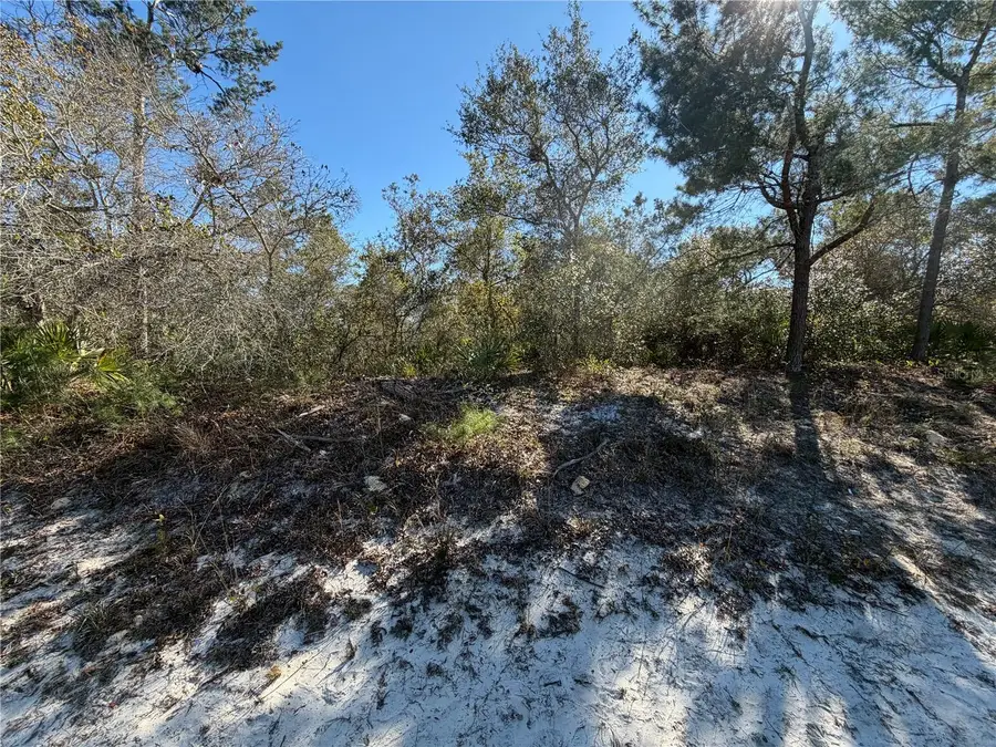 Mcbride Avenue, Deltona, FL 32725 - #3