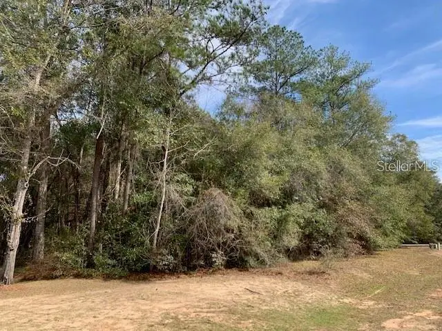 167 Sparkleberry Boulevard, Quincy, FL 32351 - #2