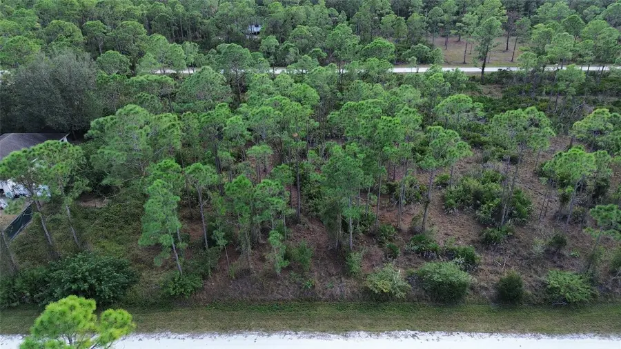 28059 Crestwood Drive, Punta Gorda, FL 33955 - #3