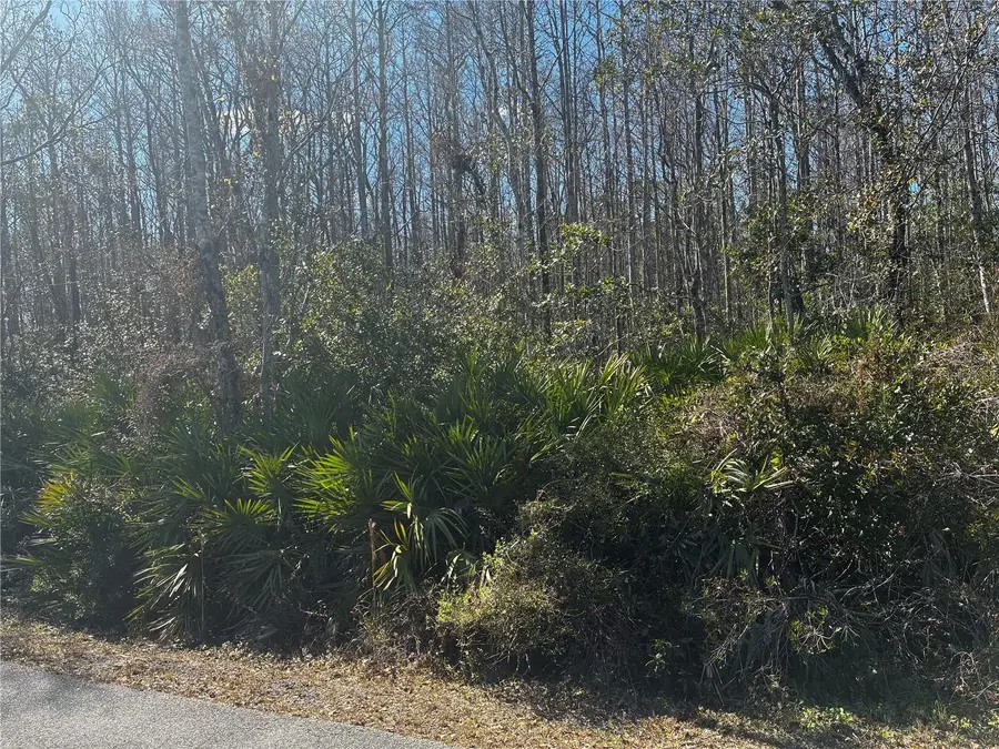 1228 Murdock Boulevard, Orlando, FL 32825 - #2