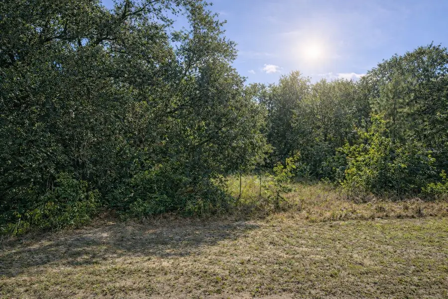 4375 SW 194th Avenue, Dunnellon, FL 34432 - #2