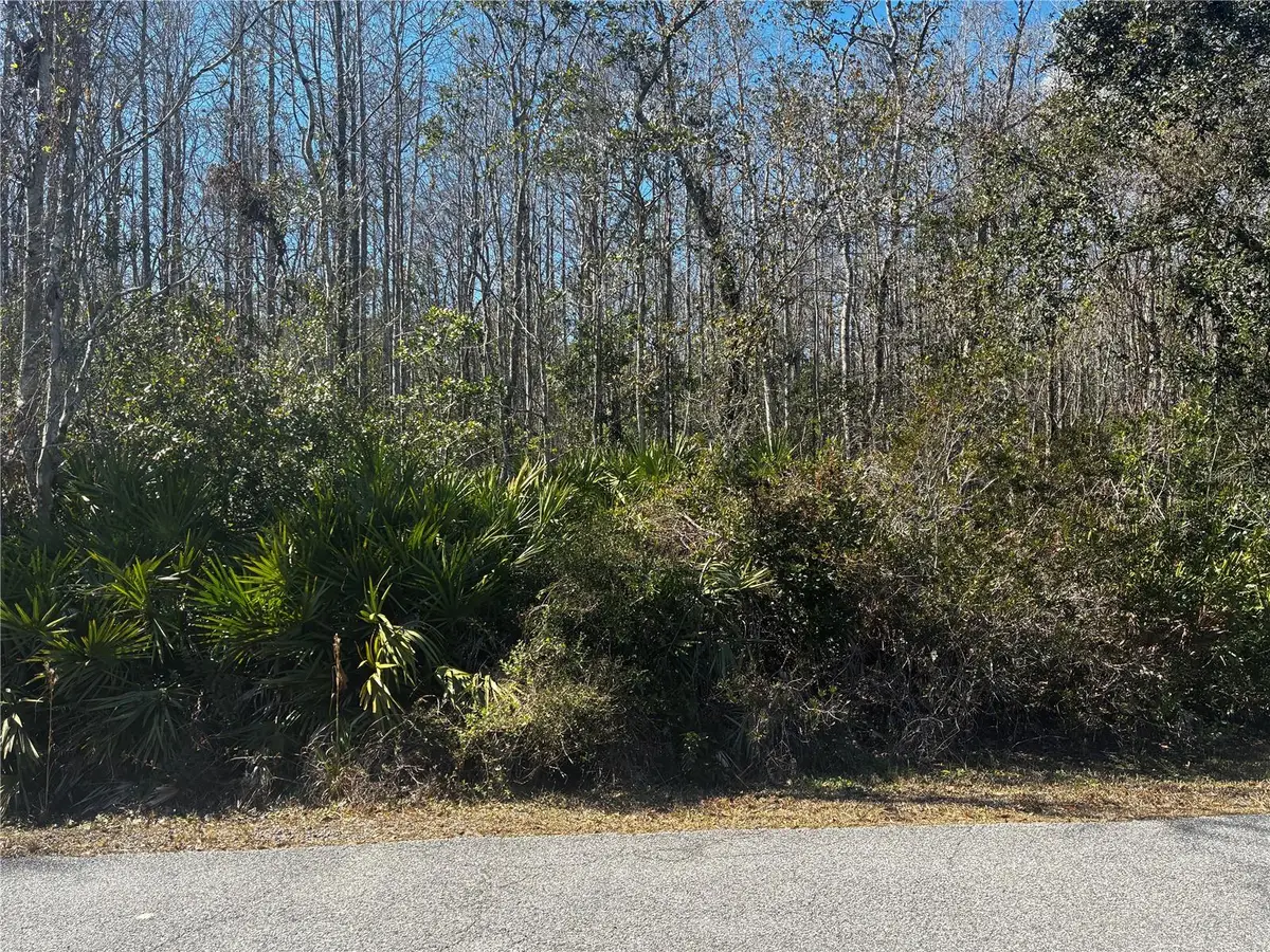 1214 Murdock Boulevard, Orlando, FL 32825 - #1