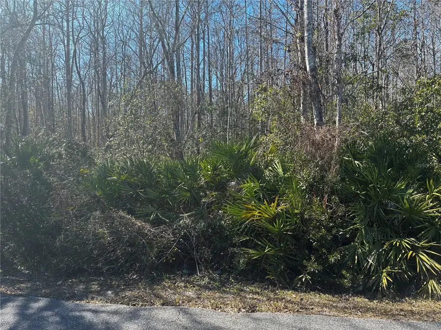 1214 Murdock Boulevard, Orlando, FL 32825 - #2