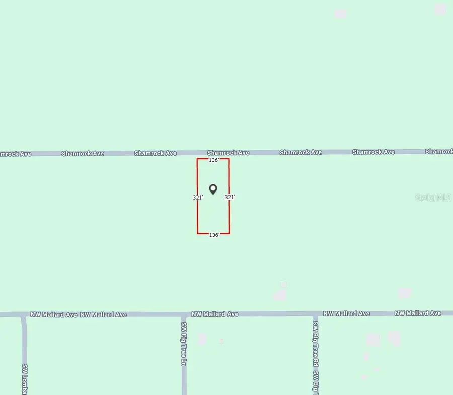 Nw Shamrock Ave, Dunnellon, FL 34431 - #2