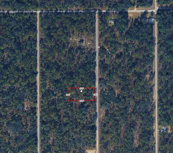 Nw Tree Top Road, DUNNELLON, FL 34431