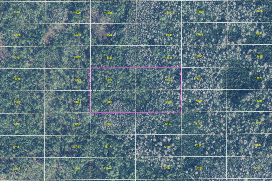 Dill Road, Orlando, FL 32820 - #2