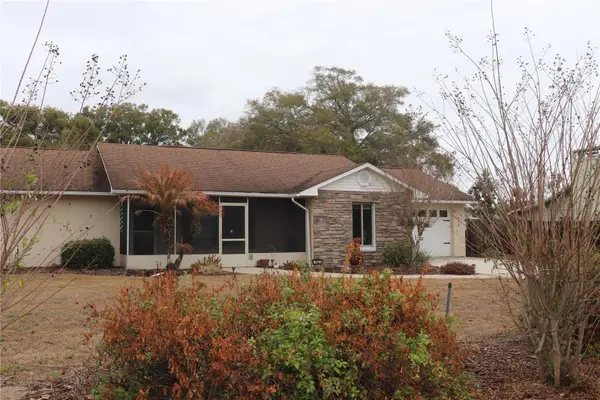 7023 Wright Avenue, MOUNT DORA, FL 32757