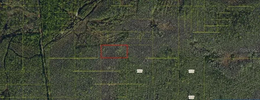 Holopaw Groves Road, Saint Cloud, FL 34771 - #2