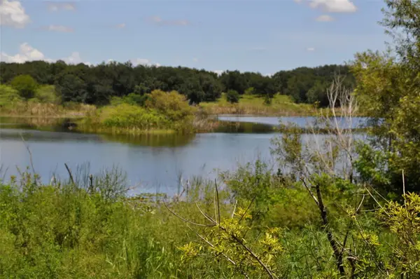 Lake Marie Drive, HAINES CITY, FL 33844