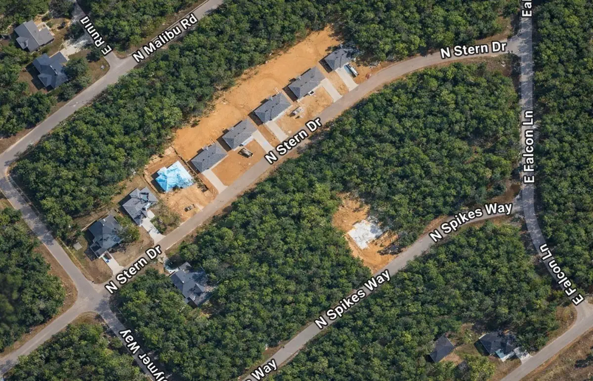 60 E Falcon Street, Dunnellon, FL 34434 - #1