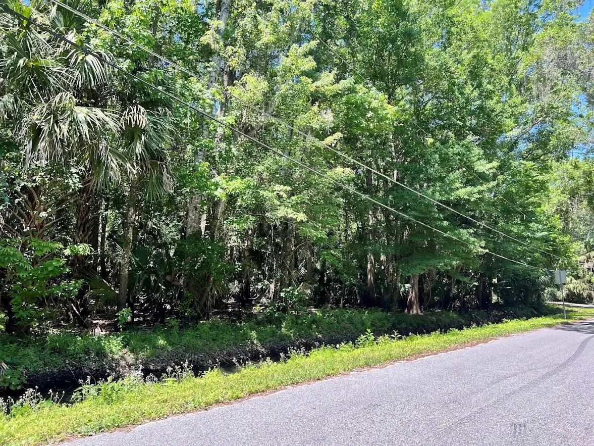 379 N Jungle Road, Geneva, FL 32732 - #1