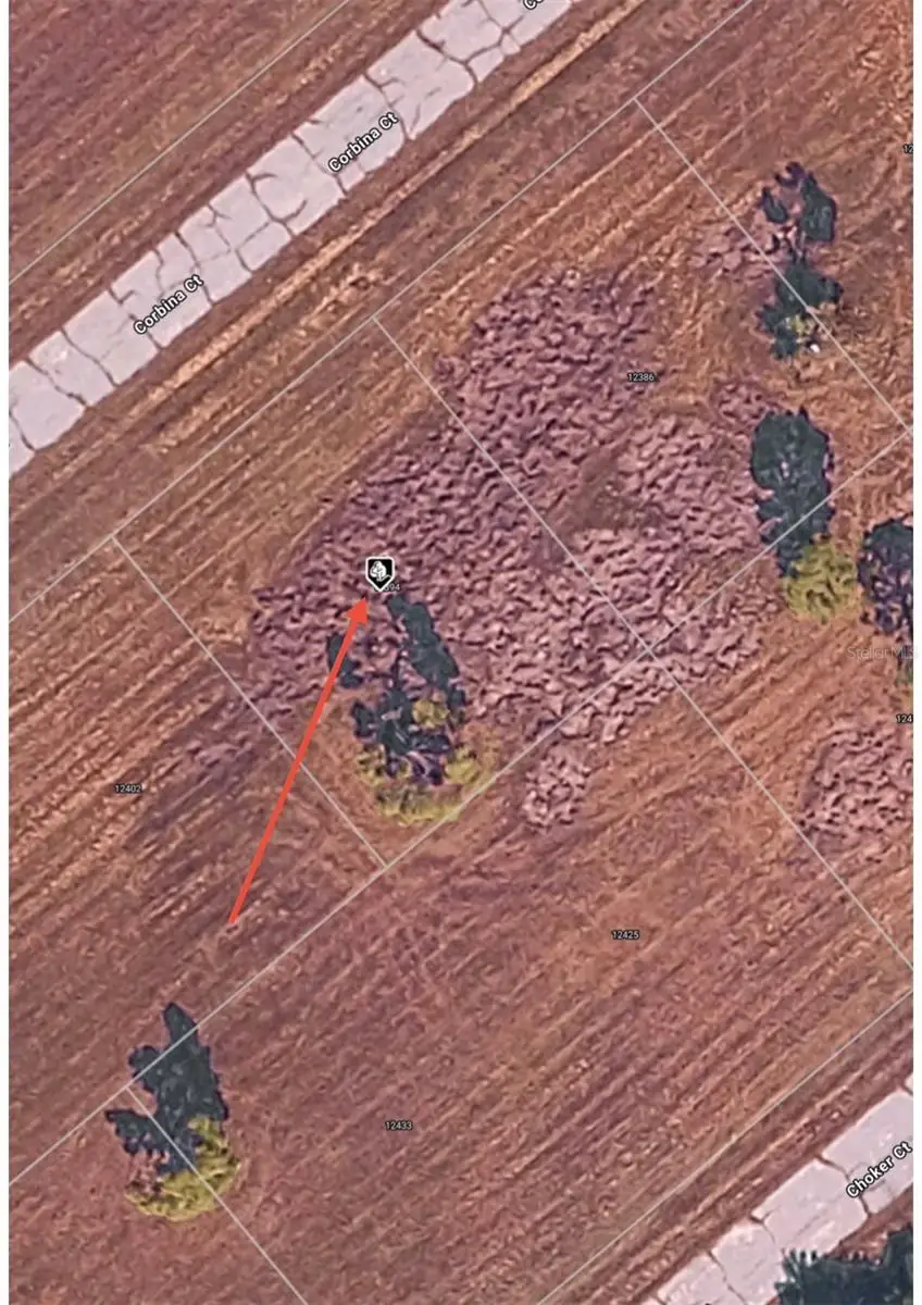 12394 Corbina Court, Placida, FL 33946 - #1