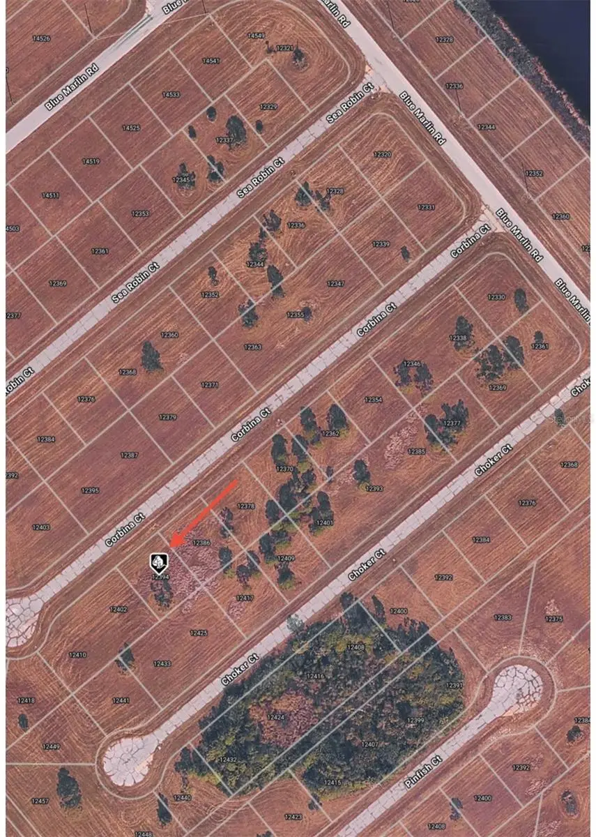 12394 Corbina Court, Placida, FL 33946 - #2