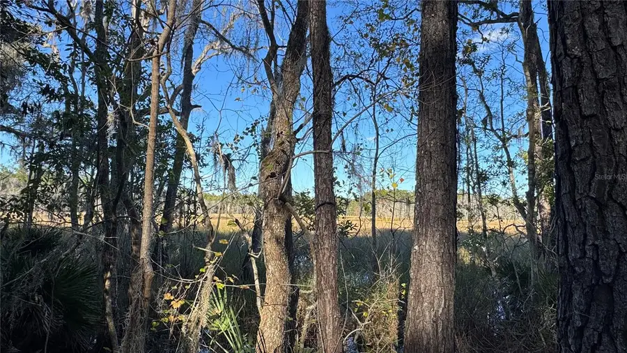 17221 SE 95th Street Road, Ocklawaha, FL 32179 - #2