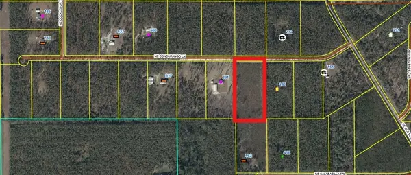 462 NE Calabazilla Trail, LEE, FL 32059