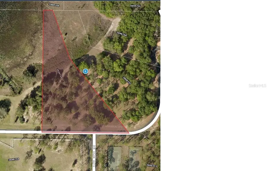 Bonsmara Drive, Leesburg, FL 34748 - #3