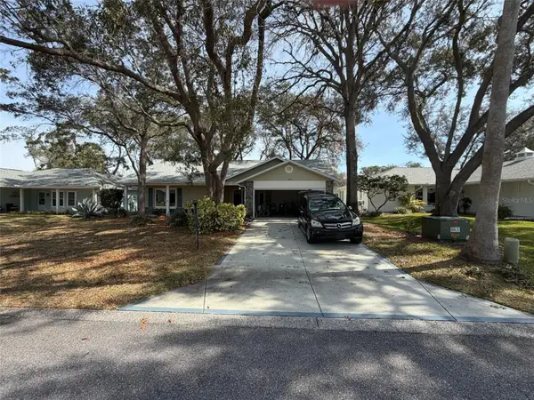 6408 Pine Meadows Drive, SPRING HILL, FL 34606