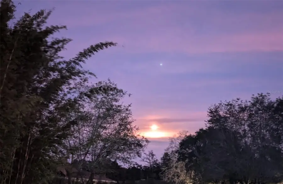 13009 Roberts Island Road, Orlando, FL 32832 - #3