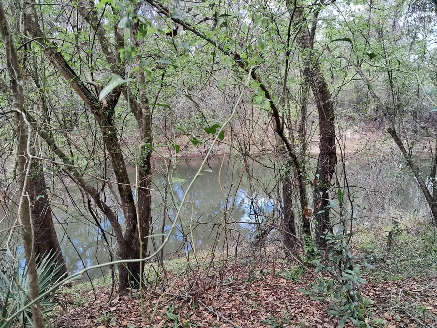 0 Smallman Street, Webster, FL 33597 - #3