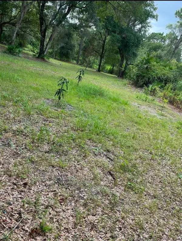 1301 Arapaho Trail, GENEVA, FL 32732