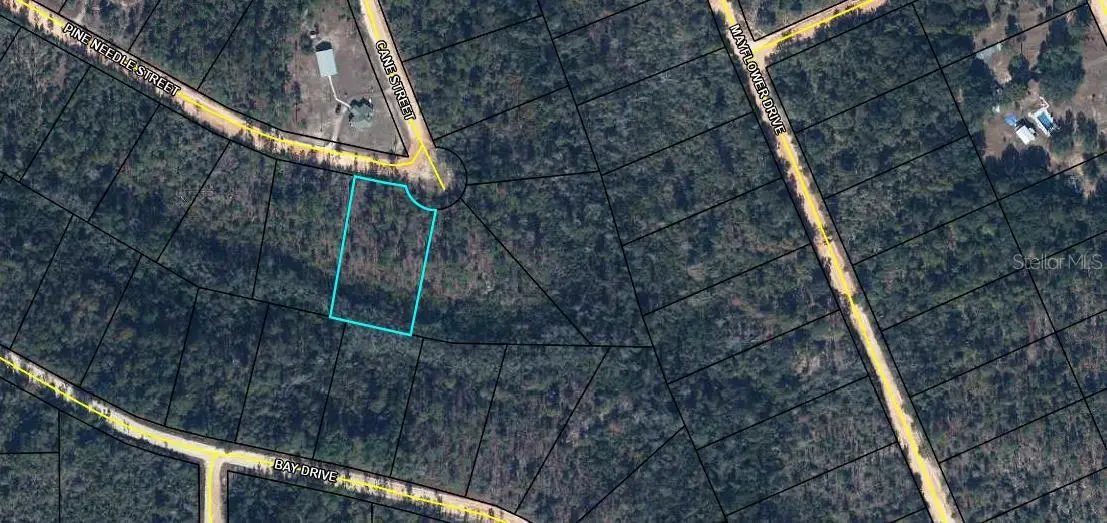TBD Pine Needle Street, Marianna, FL 32448 - #1