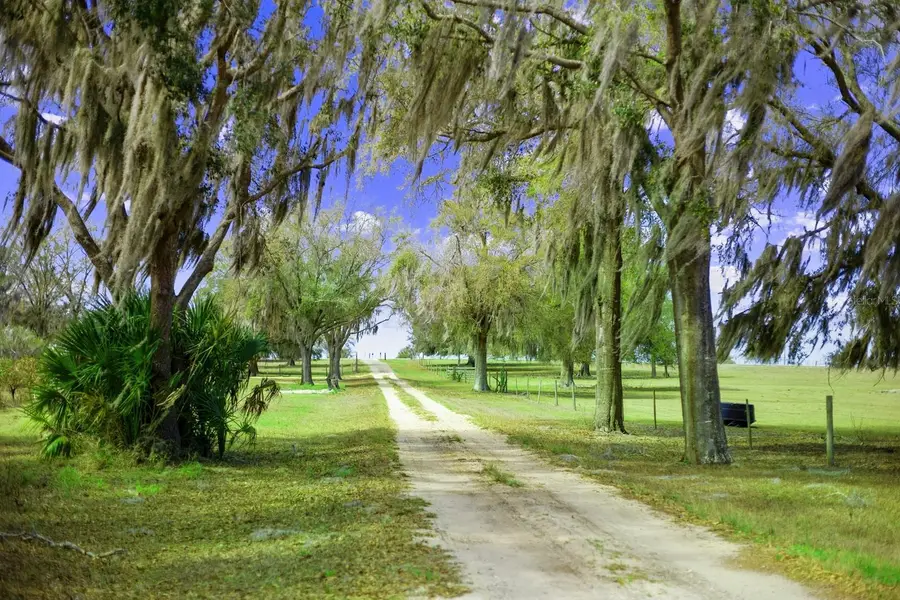 Bay Lake Road, Groveland, FL 34736 - #2