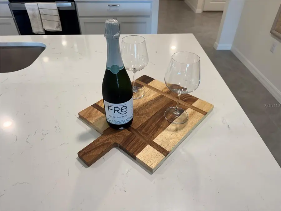 16820 SW 29th Terrace Road, Ocala, FL 34473 - #2