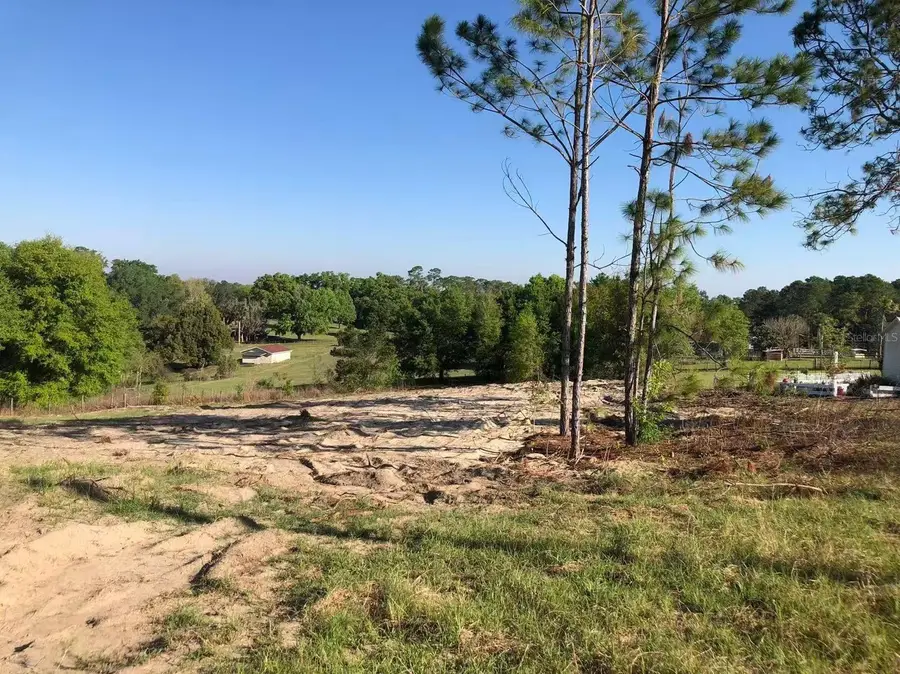 Windy Hill Drive, Eustis, FL 32726 - #2