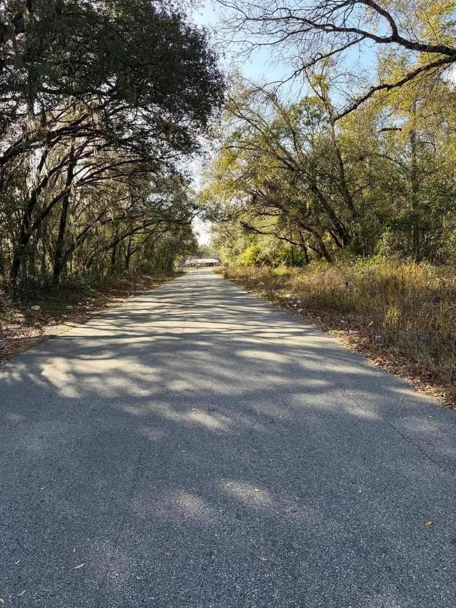 4414 Cobalt Street, Palatka, FL 32177 - #2