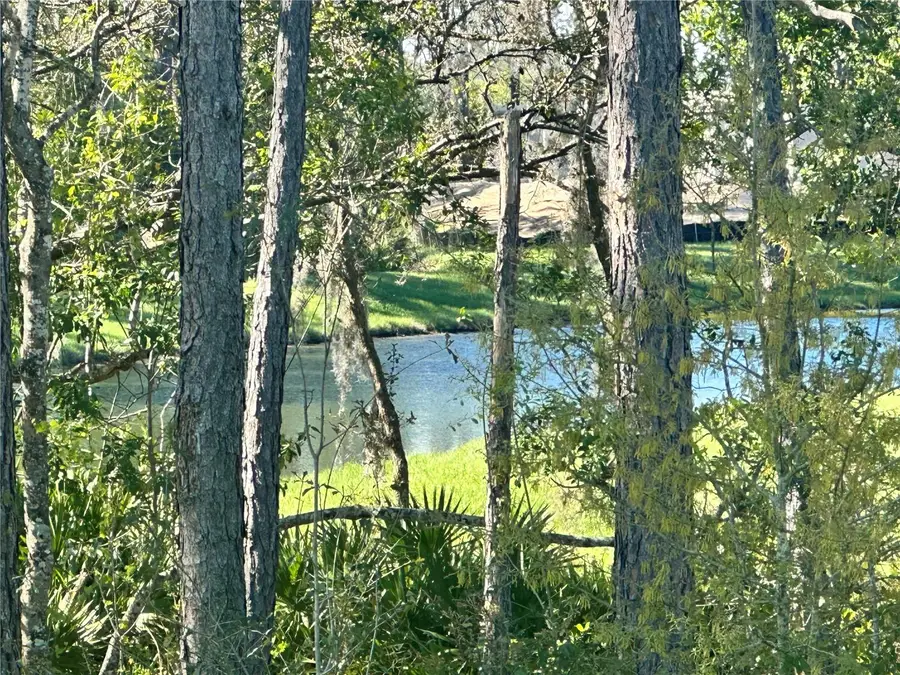 18386 Oliver Twist Way, Winter Garden, FL 34787 - #3