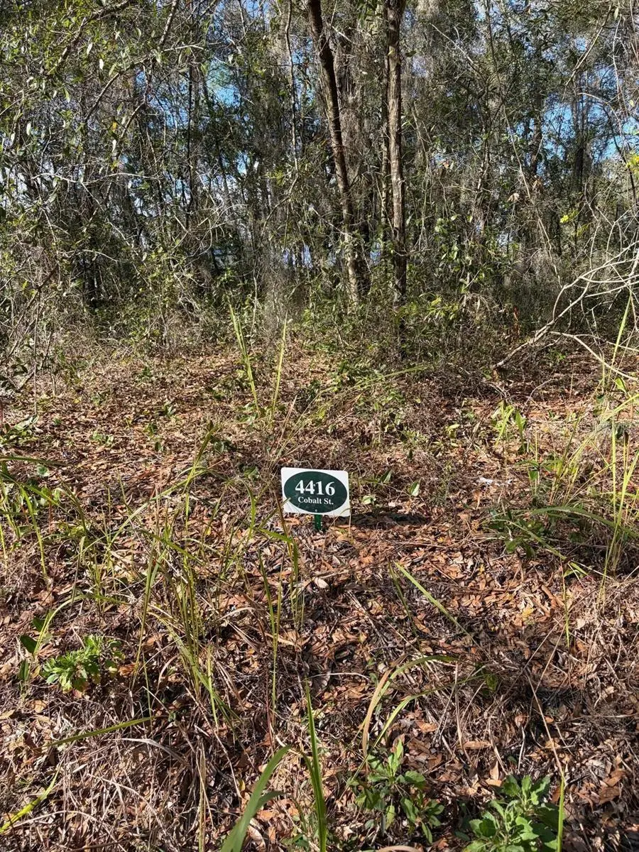 4416 Cobalt Street, Palatka, FL 32177 - #3