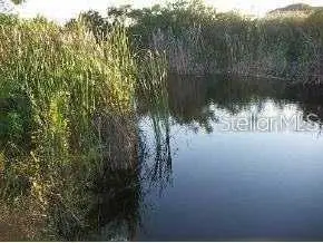 1916 NE 33rd Lane, Cape Coral, FL 33909 - #2