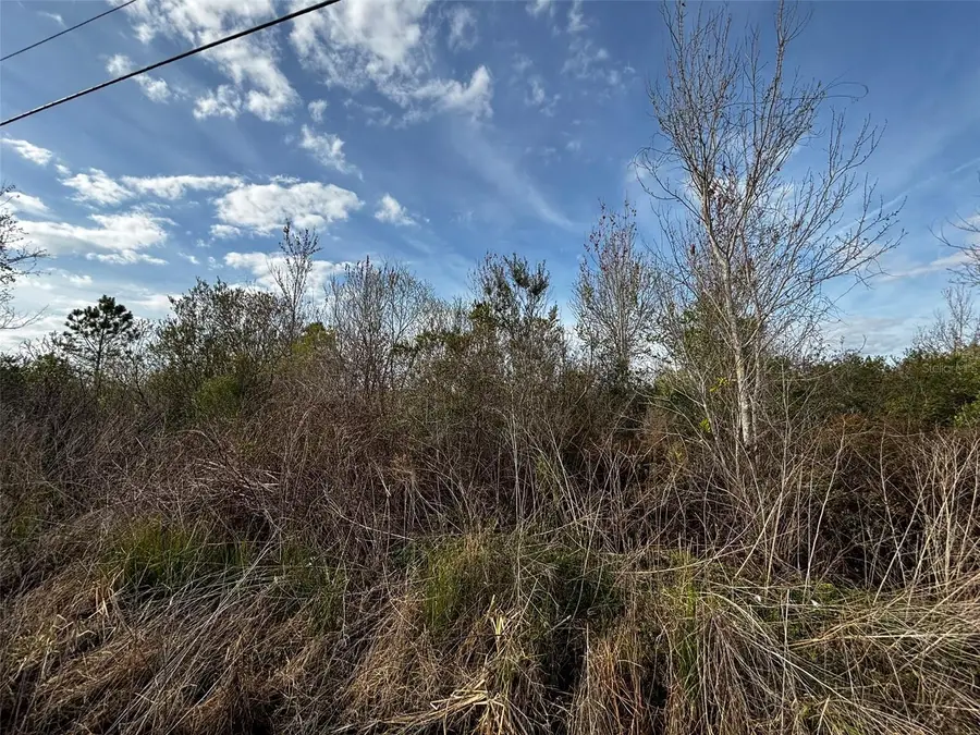 4125 Quail Nest Lane, New Smyrna Beach, FL 32168 - #3