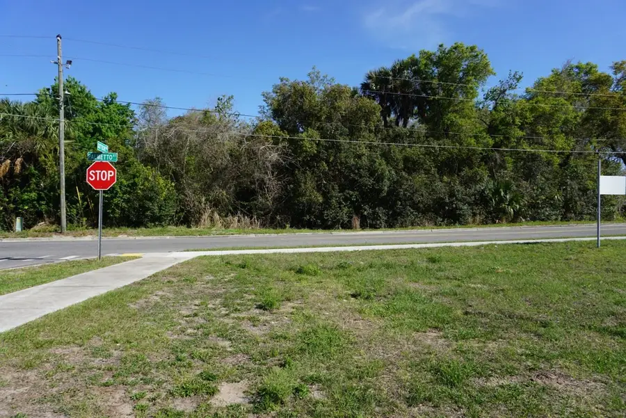 Palmetto Street, Eustis, FL 32726 - #2