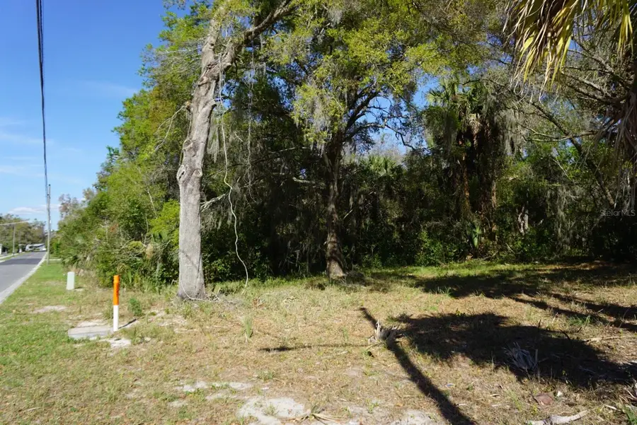 Palmetto Street, Eustis, FL 32726 - #2